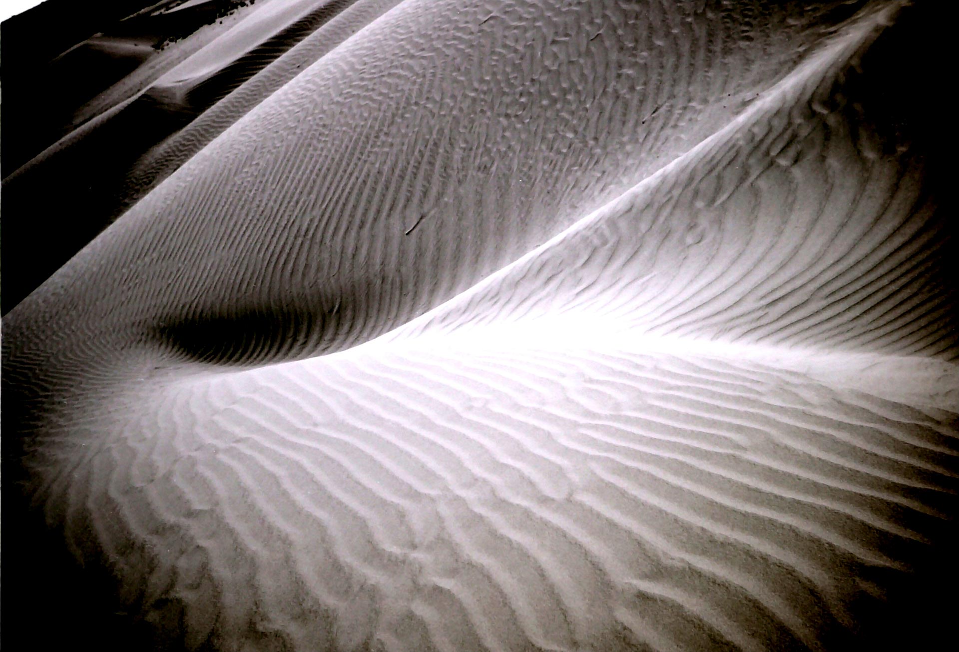 009-Deserto del Thar,1990