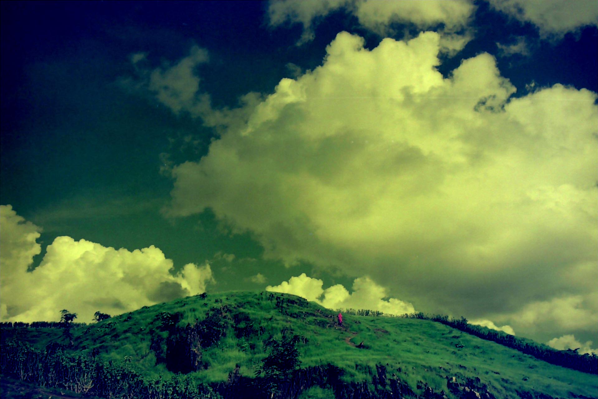 044-Verso il cielo,India 1990