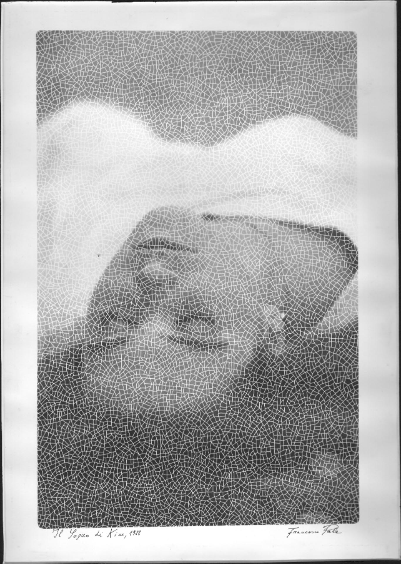Il Sogno di Kim, 1988