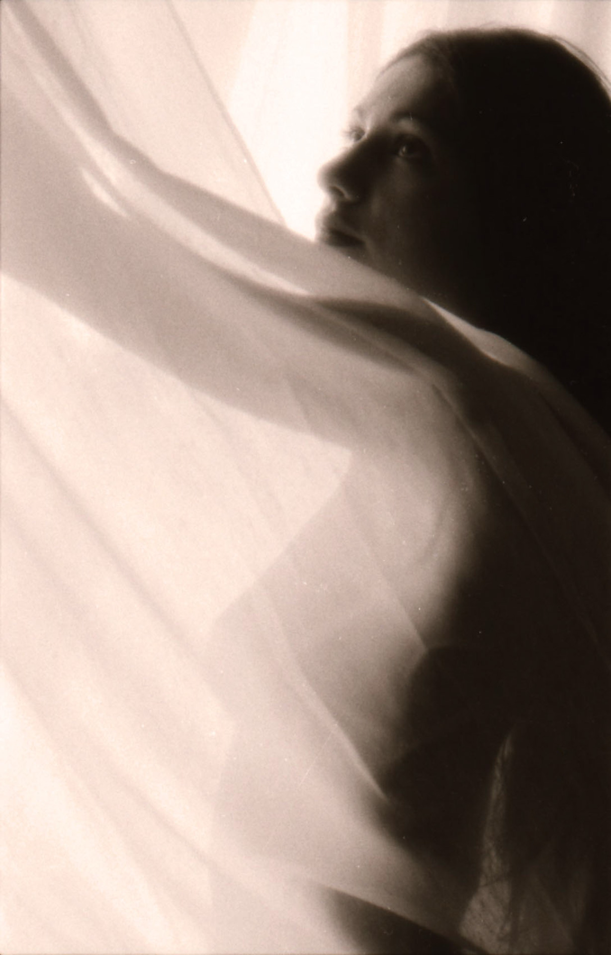 Lisa ,1995