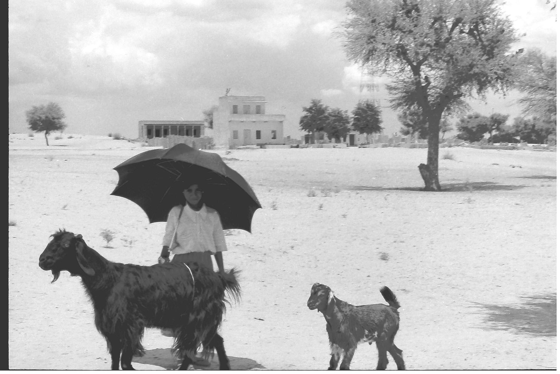 Mandawa-India 1990
